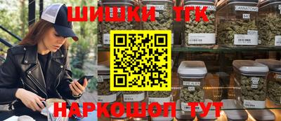 крисы Лесосибирск