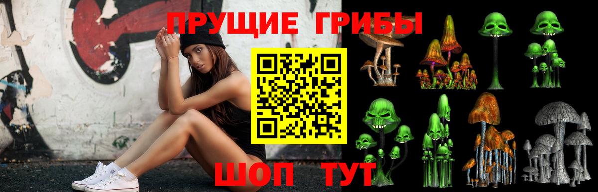 Кировск  Псилоцибиновые грибы Magic Shrooms  где найти   Псилоцибиновые грибы GOLDEN TEACHER  Вход с VPN 